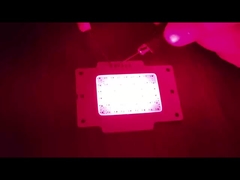 COB LED CHIP 15W LED COB pour la lumière de thérapie LED