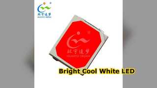 Puce LED SMD 5054 blanc froid brillant 0,5 W