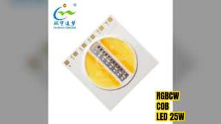 LED COB RGBCW 25W blanc réglable haute puissance