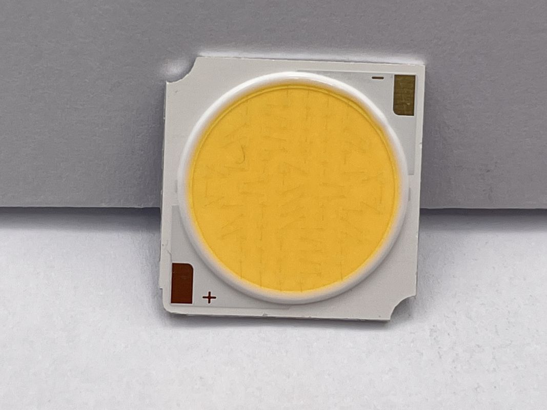 COB LED Warm White
